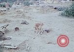 Image of bulldozer levels ground at Fire Base Myron Cambodia, 1970, second 20 stock footage video 65675030461