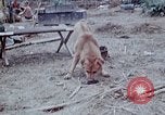 Image of bulldozer levels ground at Fire Base Myron Cambodia, 1970, second 23 stock footage video 65675030461