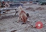 Image of bulldozer levels ground at Fire Base Myron Cambodia, 1970, second 25 stock footage video 65675030461