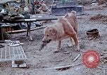 Image of bulldozer levels ground at Fire Base Myron Cambodia, 1970, second 31 stock footage video 65675030461