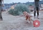 Image of bulldozer levels ground at Fire Base Myron Cambodia, 1970, second 35 stock footage video 65675030461