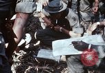 Image of jungle trail Vietnam, 1968, second 6 stock footage video 65675030468
