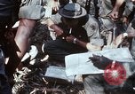 Image of jungle trail Vietnam, 1968, second 7 stock footage video 65675030468