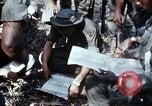 Image of jungle trail Vietnam, 1968, second 10 stock footage video 65675030468