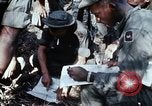 Image of jungle trail Vietnam, 1968, second 14 stock footage video 65675030468