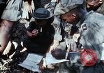 Image of jungle trail Vietnam, 1968, second 15 stock footage video 65675030468