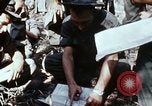 Image of jungle trail Vietnam, 1968, second 17 stock footage video 65675030468