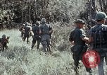 Image of jungle trail Vietnam, 1968, second 31 stock footage video 65675030468