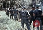 Image of jungle trail Vietnam, 1968, second 36 stock footage video 65675030468
