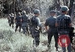 Image of jungle trail Vietnam, 1968, second 38 stock footage video 65675030468