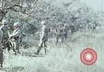 Image of jungle trail Vietnam, 1968, second 39 stock footage video 65675030468