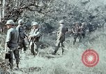 Image of jungle trail Vietnam, 1968, second 43 stock footage video 65675030468