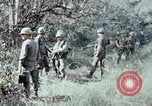 Image of jungle trail Vietnam, 1968, second 44 stock footage video 65675030468