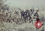 Image of jungle trail Vietnam, 1968, second 50 stock footage video 65675030468