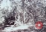 Image of jungle trail Vietnam, 1968, second 55 stock footage video 65675030468