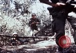 Image of jungle trail Vietnam, 1968, second 56 stock footage video 65675030468