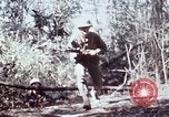Image of jungle trail Vietnam, 1968, second 57 stock footage video 65675030468