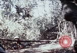 Image of jungle trail Vietnam, 1968, second 59 stock footage video 65675030468