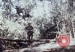 Image of jungle trail Vietnam, 1968, second 60 stock footage video 65675030468