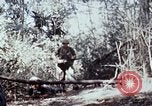Image of jungle trail Vietnam, 1968, second 61 stock footage video 65675030468