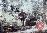 Image of jungle trail Vietnam, 1968, second 62 stock footage video 65675030468