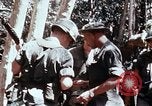 Standbild 199 Light Infantry Brigade Vietnam, 1968, aus Sekunde 4 historischem Filmmaterial Videoclip 65675030469