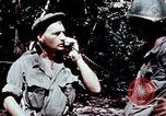 Standbild 199 Light Infantry Brigade Vietnam, 1968, aus Sekunde 14 historischem Filmmaterial Videoclip 65675030469