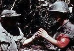 Standbild 199 Light Infantry Brigade Vietnam, 1968, aus Sekunde 21 historischem Filmmaterial Videoclip 65675030469