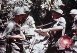 Standbild 199 Light Infantry Brigade Vietnam, 1968, aus Sekunde 31 historischem Filmmaterial Videoclip 65675030469