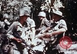 Standbild 199 Light Infantry Brigade Vietnam, 1968, aus Sekunde 33 historischem Filmmaterial Videoclip 65675030469