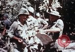 Standbild 199 Light Infantry Brigade Vietnam, 1968, aus Sekunde 35 historischem Filmmaterial Videoclip 65675030469