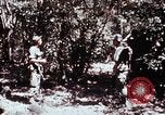 Standbild 199 Light Infantry Brigade Vietnam, 1968, aus Sekunde 53 historischem Filmmaterial Videoclip 65675030469
