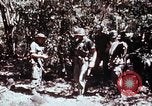 Standbild 199 Light Infantry Brigade Vietnam, 1968, aus Sekunde 56 historischem Filmmaterial Videoclip 65675030469