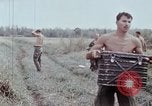 Standbild entladen liefert Vietnam, 1968, aus Sekunde 44 historischem Filmmaterial Videoclip 65675030470