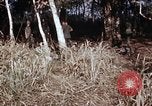 Standbild UH-1D Hubschrauber Kambodscha, 1968, aus Sekunde 18 historischem Filmmaterial Videoclip 65675030471