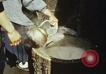 Standbild Koreaner Weizen beladen am Dock Südkorea, 1968, aus Sekunde 32 historischem Filmmaterial Videoclip 65675030472