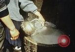 Standbild Koreaner Weizen beladen am Dock Südkorea, 1968, aus Sekunde 33 historischem Filmmaterial Videoclip 65675030472