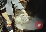 Standbild Koreaner Weizen beladen am Dock Südkorea, 1968, aus Sekunde 34 historischem Filmmaterial Videoclip 65675030472