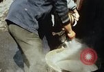 Standbild Koreaner Weizen beladen am Dock Südkorea, 1968, aus Sekunde 41 historischem Filmmaterial Videoclip 65675030472