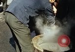 Standbild Koreaner Weizen beladen am Dock Südkorea, 1968, aus Sekunde 42 historischem Filmmaterial Videoclip 65675030472