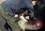 Standbild Koreaner Weizen beladen am Dock Südkorea, 1968, aus Sekunde 45 historischem Filmmaterial Videoclip 65675030472