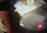 Standbild Koreaner Weizen beladen am Dock Südkorea, 1968, aus Sekunde 50 historischem Filmmaterial Videoclip 65675030472