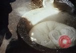 Standbild Koreaner Weizen beladen am Dock Südkorea, 1968, aus Sekunde 53 historischem Filmmaterial Videoclip 65675030472