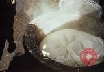Standbild Koreaner Weizen beladen am Dock Südkorea, 1968, aus Sekunde 54 historischem Filmmaterial Videoclip 65675030472
