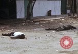 Standbild US 199 Light Infantry Brigade während des Vietnam Krieges Saigon Vietnam, 1968, aus Sekunde 15 historischem Filmmaterial Videoclip 65675030479