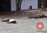Standbild US 199 Light Infantry Brigade während des Vietnam Krieges Saigon Vietnam, 1968, aus Sekunde 16 historischem Filmmaterial Videoclip 65675030479
