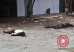Standbild US 199 Light Infantry Brigade während des Vietnam Krieges Saigon Vietnam, 1968, aus Sekunde 17 historischem Filmmaterial Videoclip 65675030479