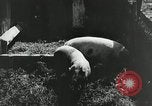Image of Great Depression programs for improved roads and facilities Ohio United States USA, 1937, second 6 stock footage video 65675030502