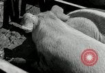 Image of Great Depression programs for improved roads and facilities Ohio United States USA, 1937, second 12 stock footage video 65675030502