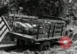 Image of Great Depression programs for improved roads and facilities Ohio United States USA, 1937, second 27 stock footage video 65675030502
